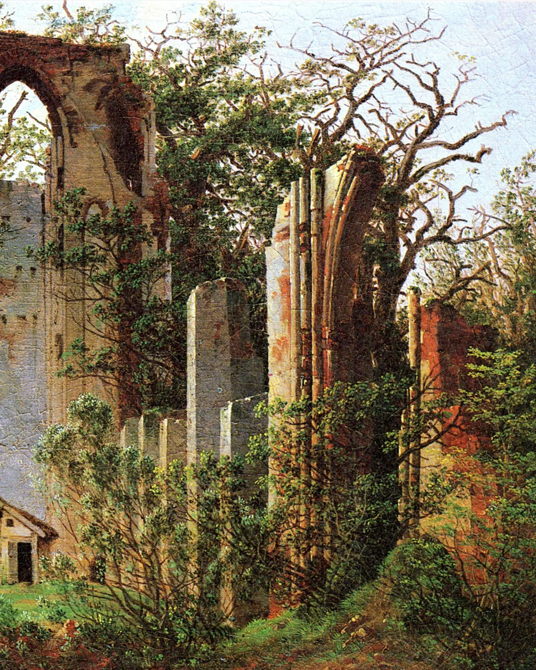 Manderley 13