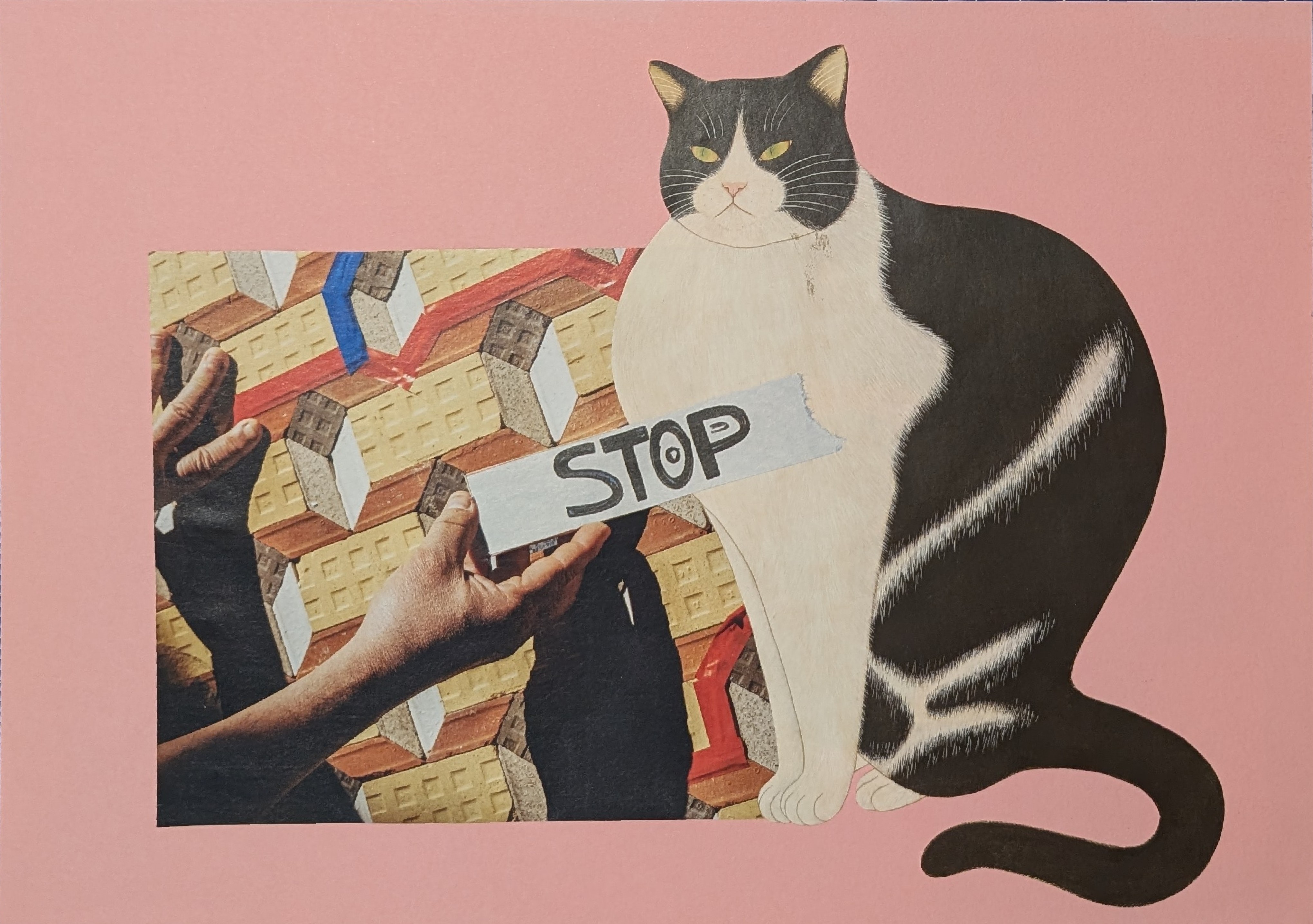 Glasgow Collage Club - Shona Peden