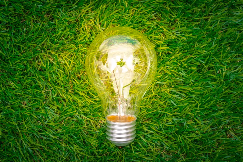 Une ampoule allumée est posée sur l'herbe