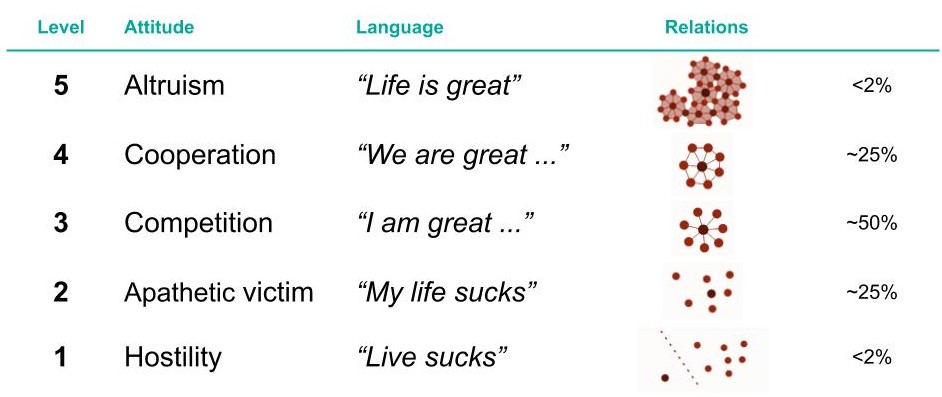 Tribal Leadership culture levels