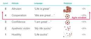 Tribal leadership levels
