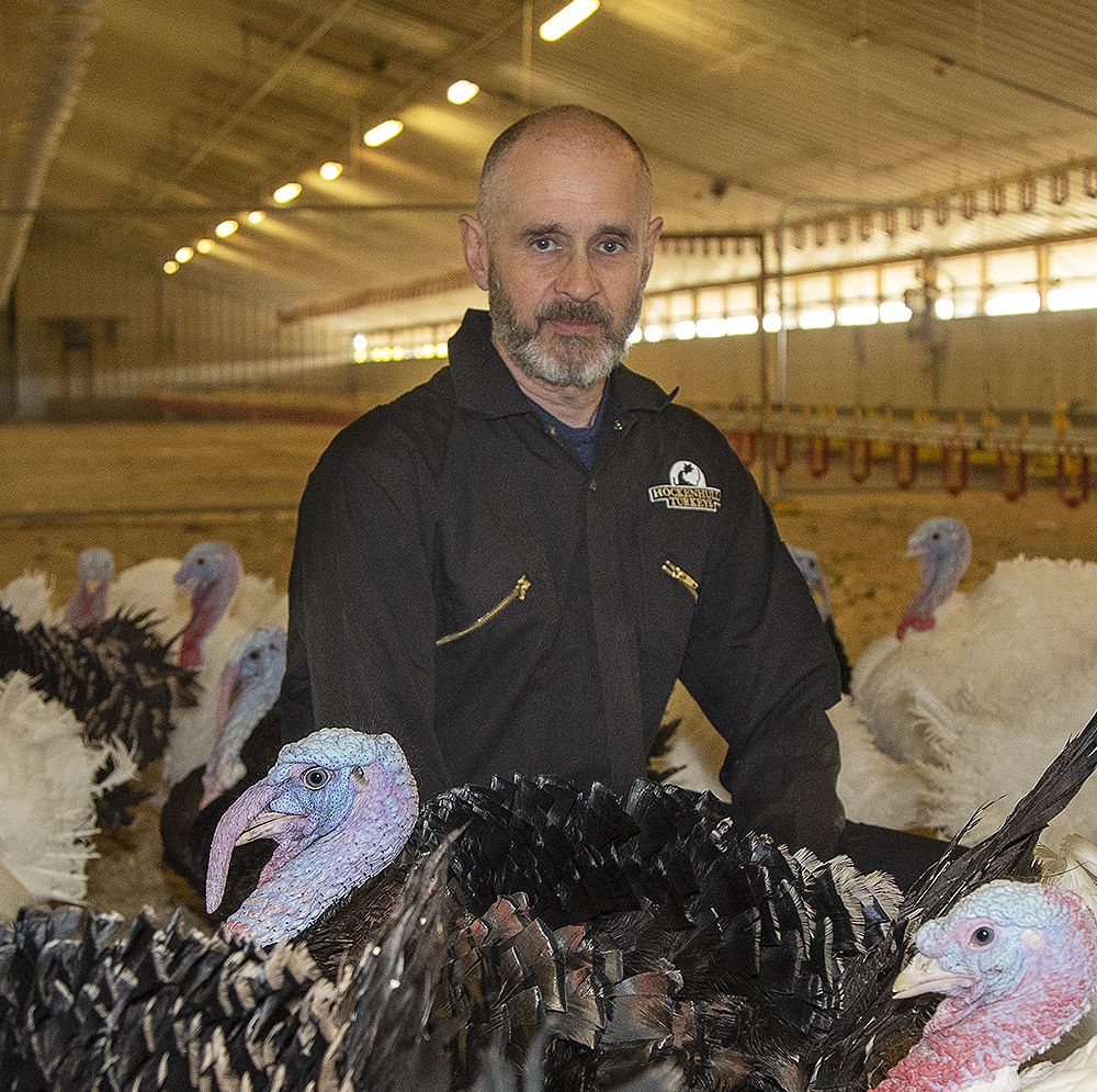 Trevor Finney of Hockenhull Turkeys