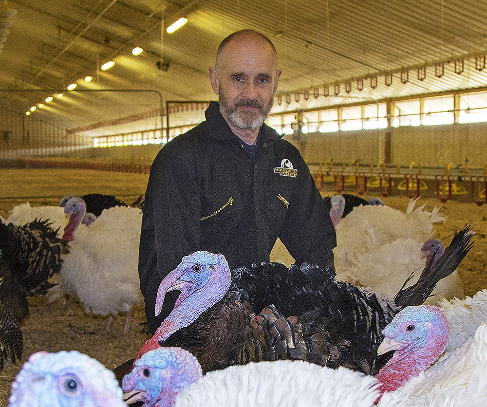 Steve Hart Contracts Director