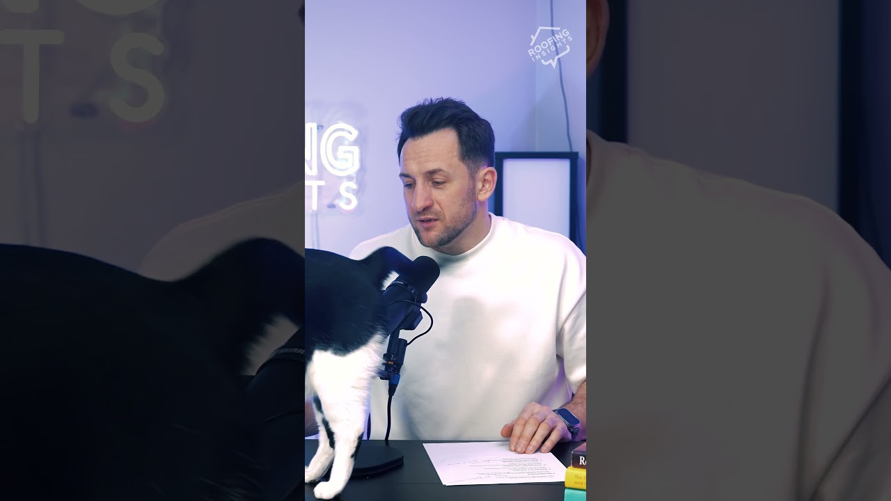 This little furball is my actual boss 🐱 #cathumor #officepets #relatable