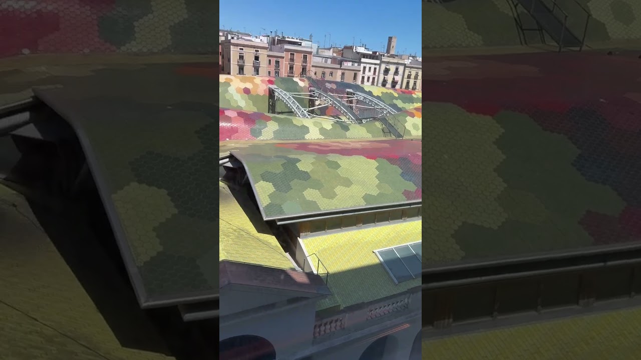 Roofs in Barcelona are incredible. Do you have to be a roofer or tile installer for this one?