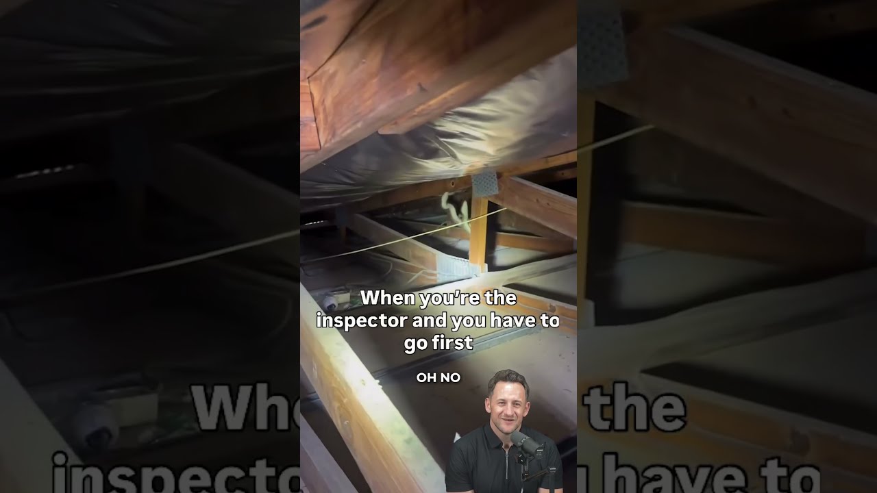 State Farm's Pest Control Secret: Snakes 🐍🤫 #statefarm #funny #homeinspection