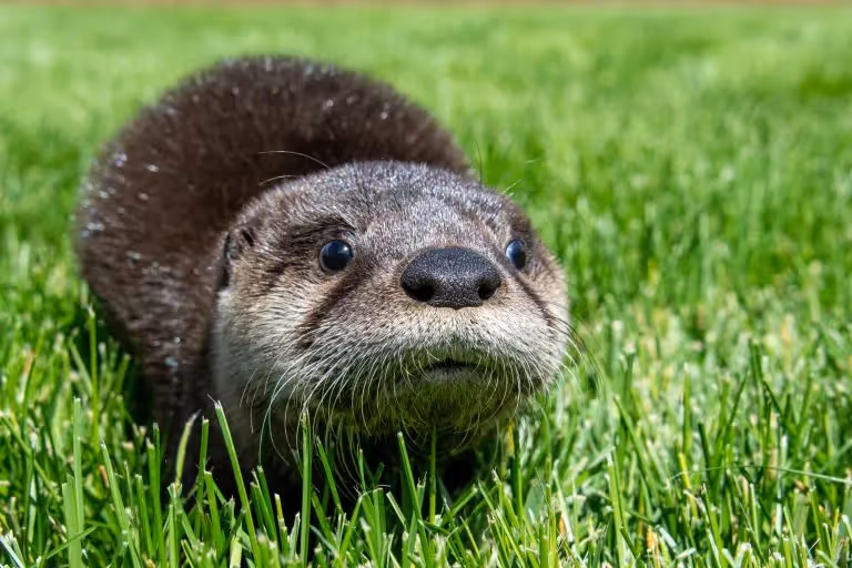 Mother's Day at the Museum