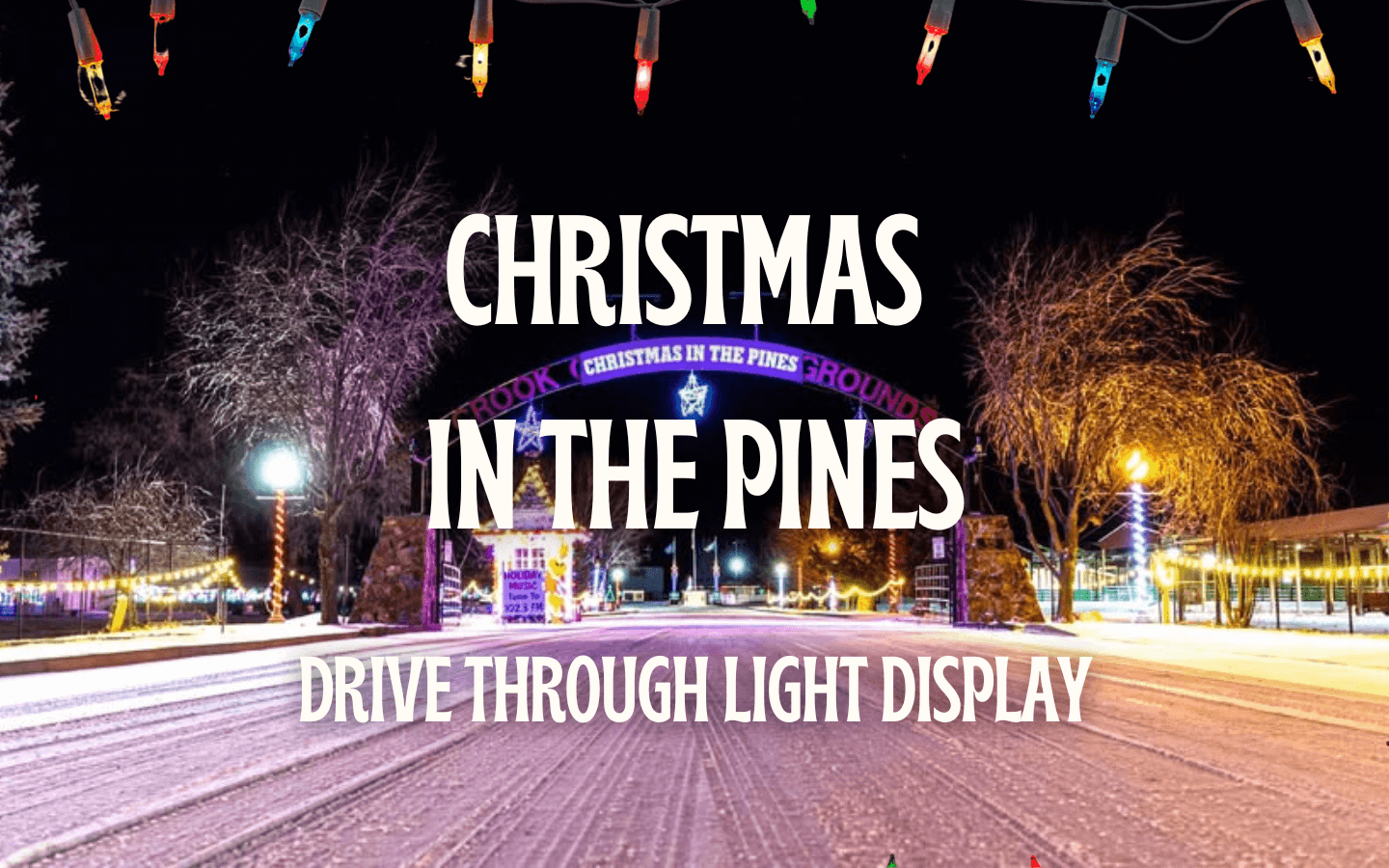 Christmas in the Pines Lights