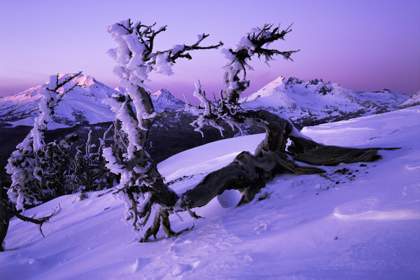 Old Mill District's First Friday Art Walk