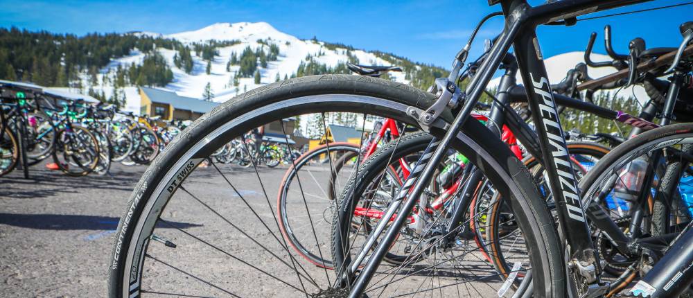 Selco Pole Peddle Paddle