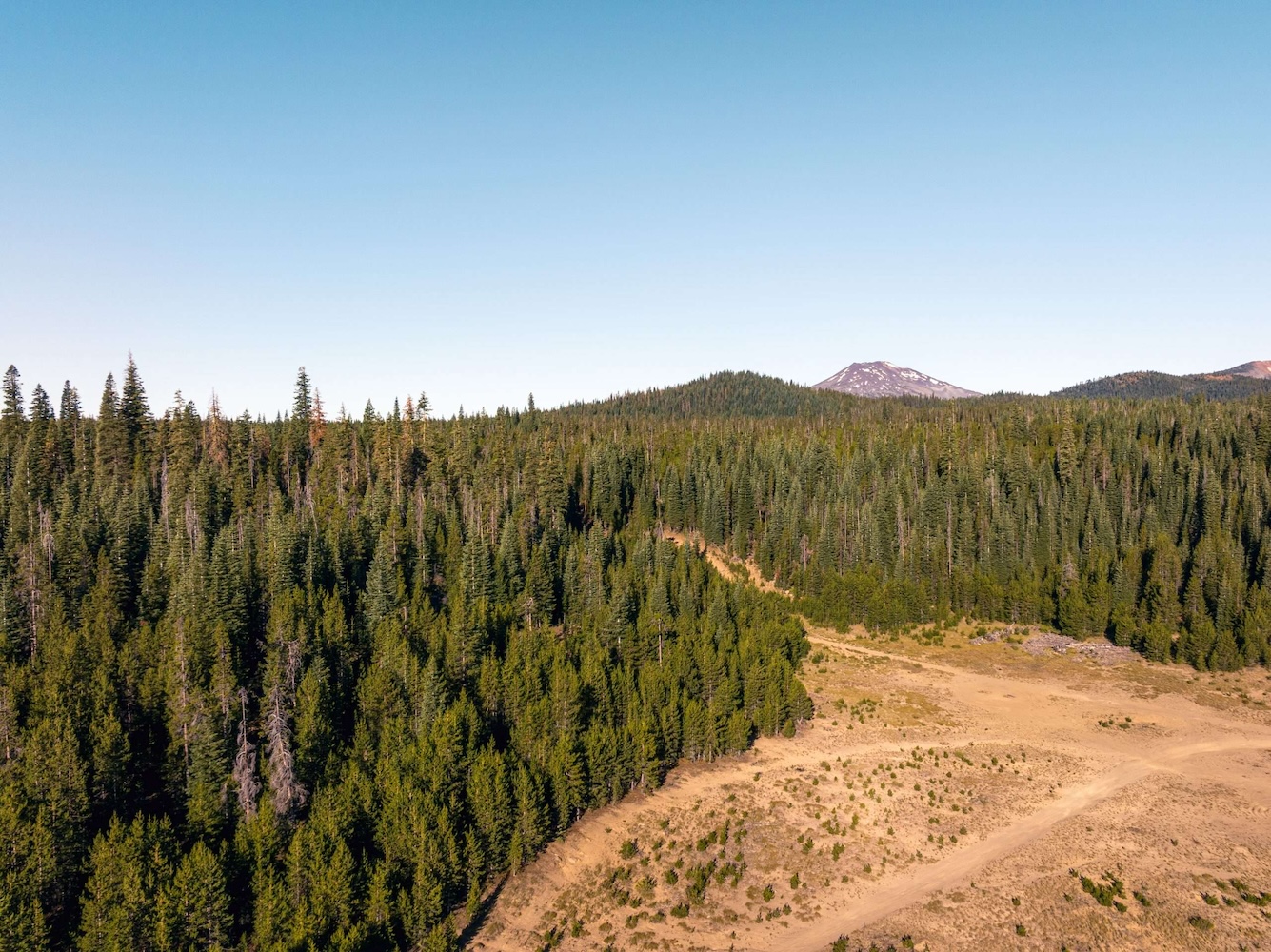 Haulin Aspen Marathon