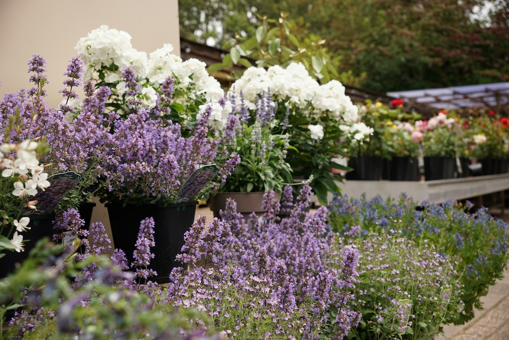 Spring Home & Garden Show