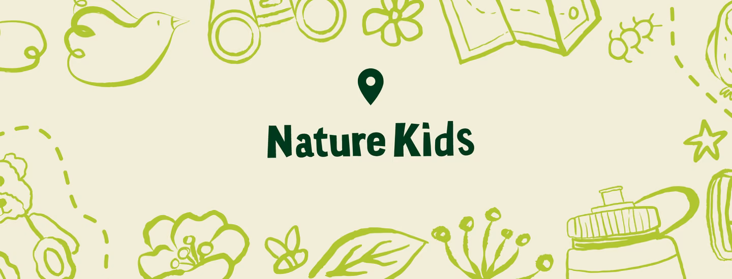 Nature Kids: Teddy Bear Picnic