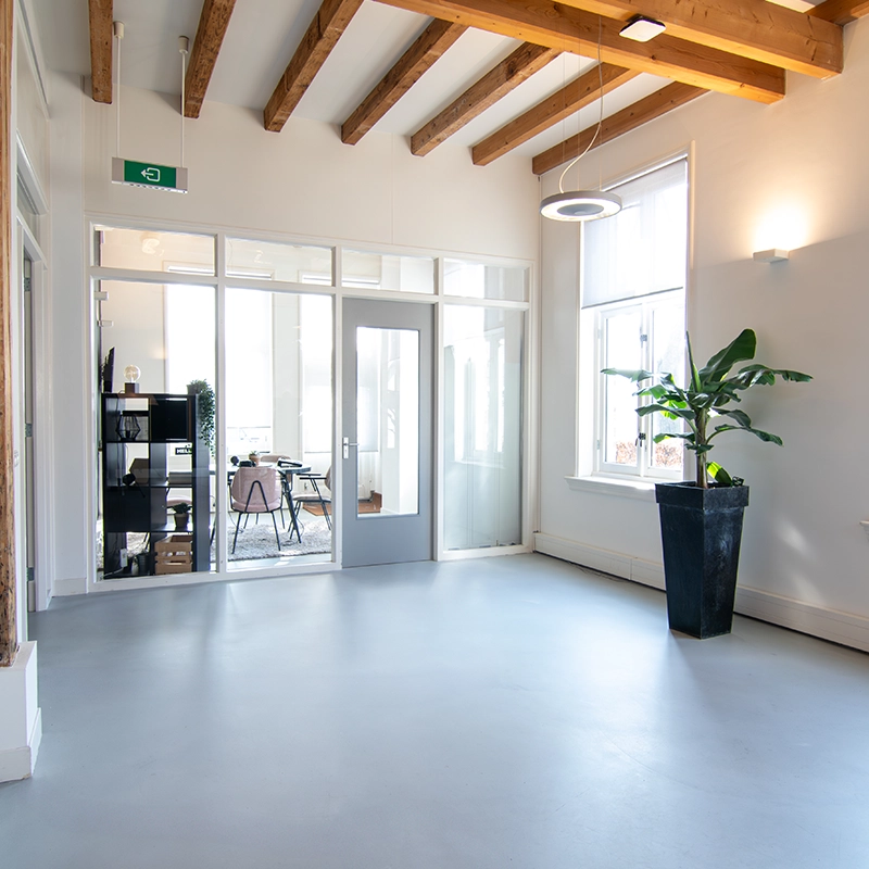 Een grote plant en een podcast studio