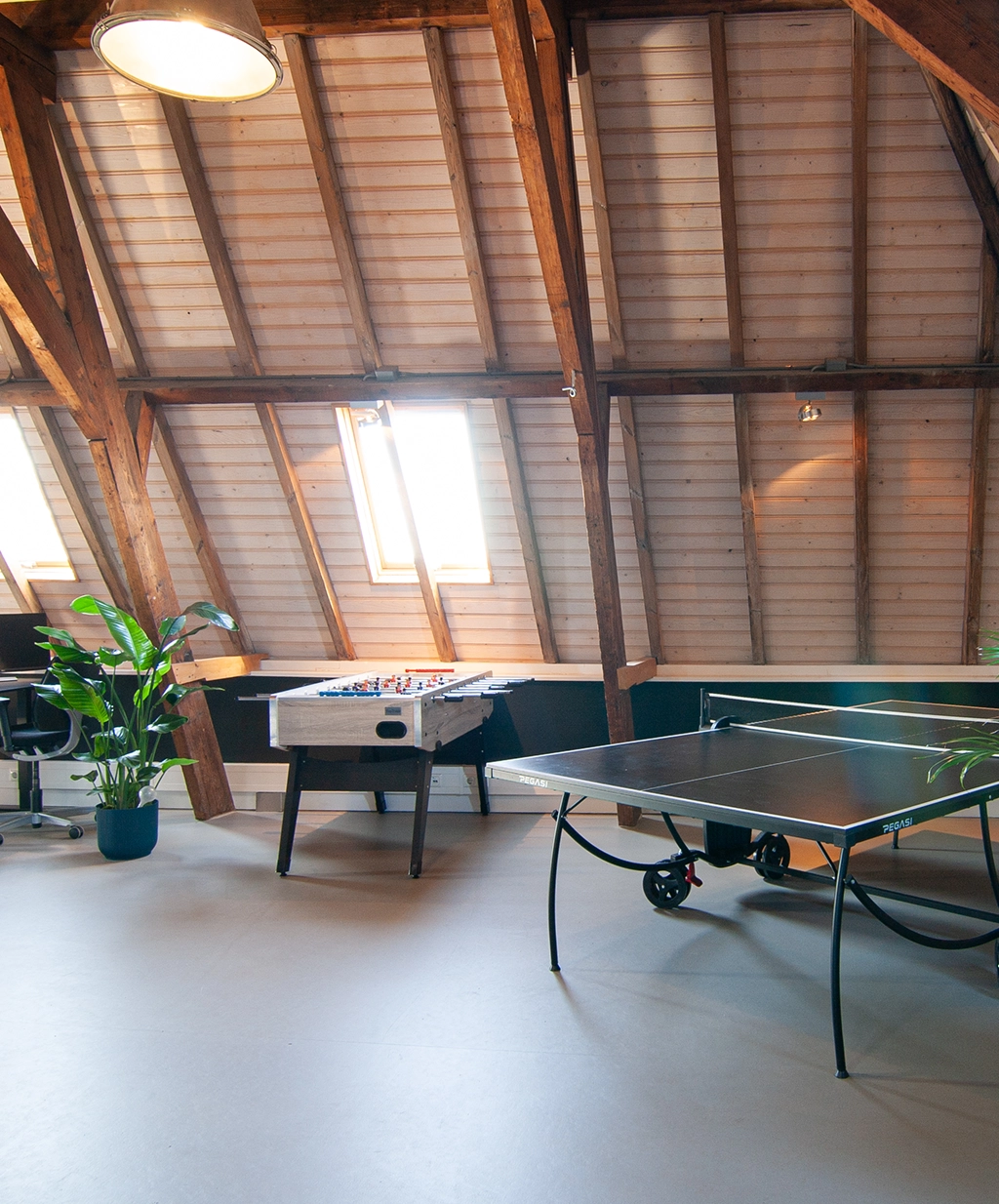 Een kamerplant, voetbaltafel en pingpongtafel