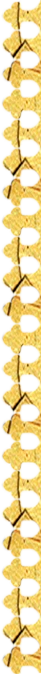 Golden video frame