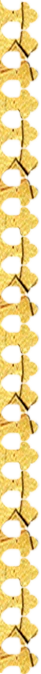 Golden video frame right