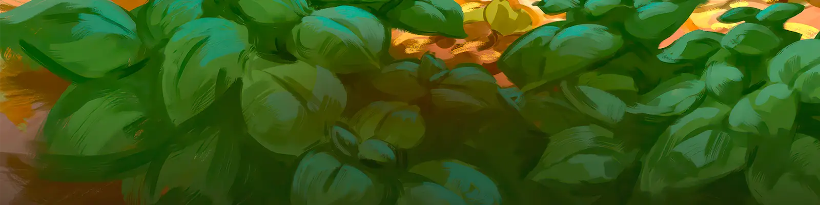 Lost Ruins of Arnak: Surprise Shipment