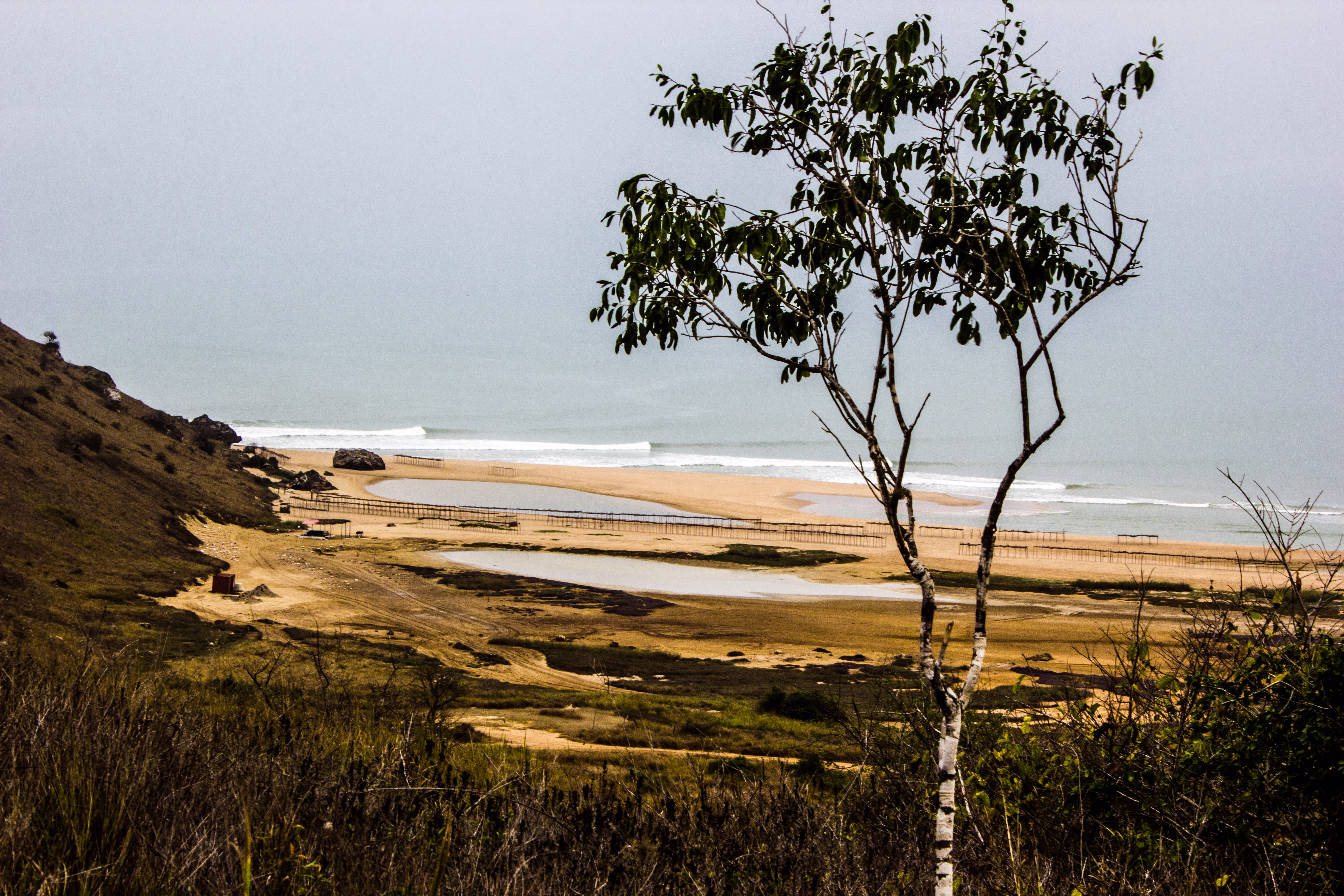 Pointbreak Angola Cabo Ledo – ein einzelner Baum vor weiter, rauer Küstenlandschaft mit Sandstrand und sanften Wellen im Nebelschleier.
