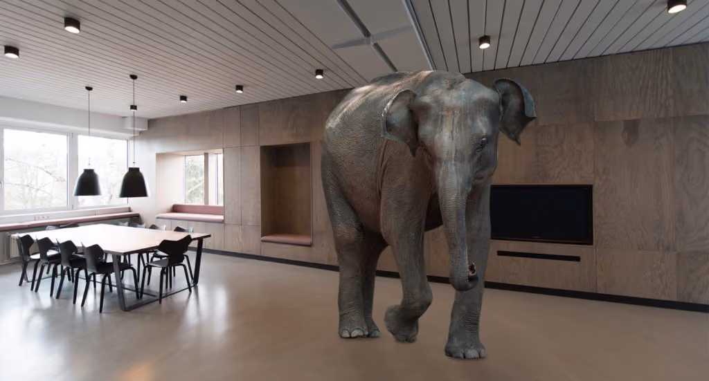 elephant room1 1