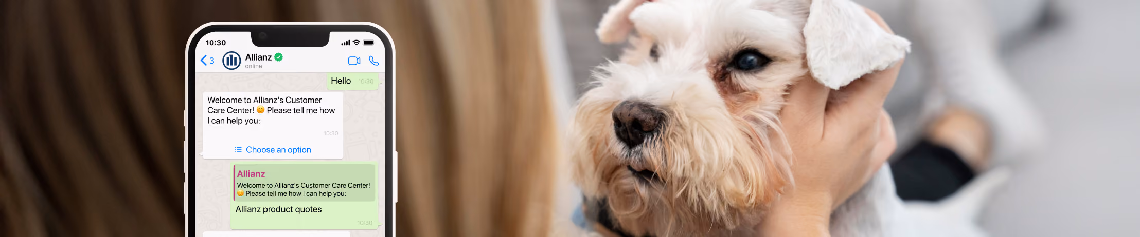Phone displaying Allianz chat for pet insurance quotes beside a fluffy dog being petted; customer service interaction.