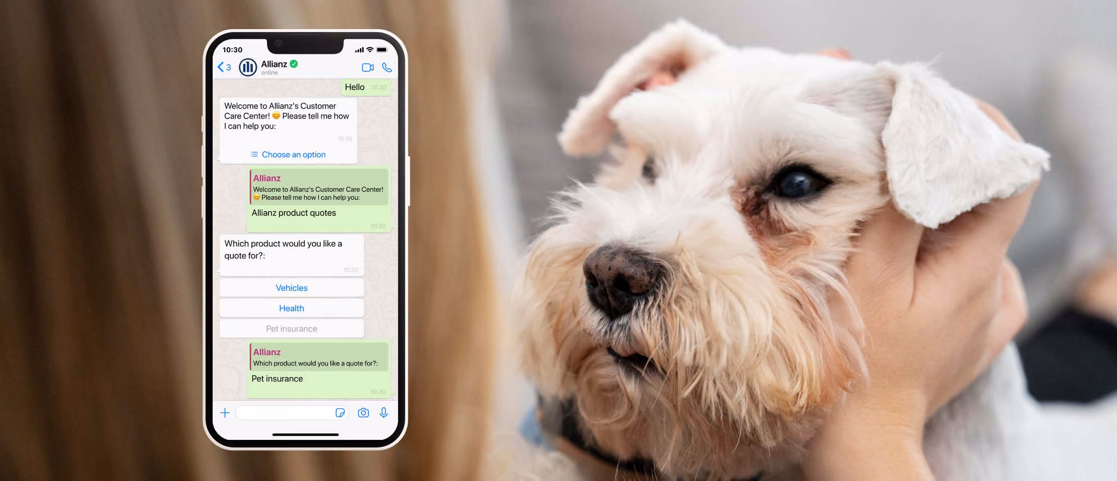Phone displaying Allianz chat for pet insurance quotes beside a fluffy dog being petted; customer service interaction.