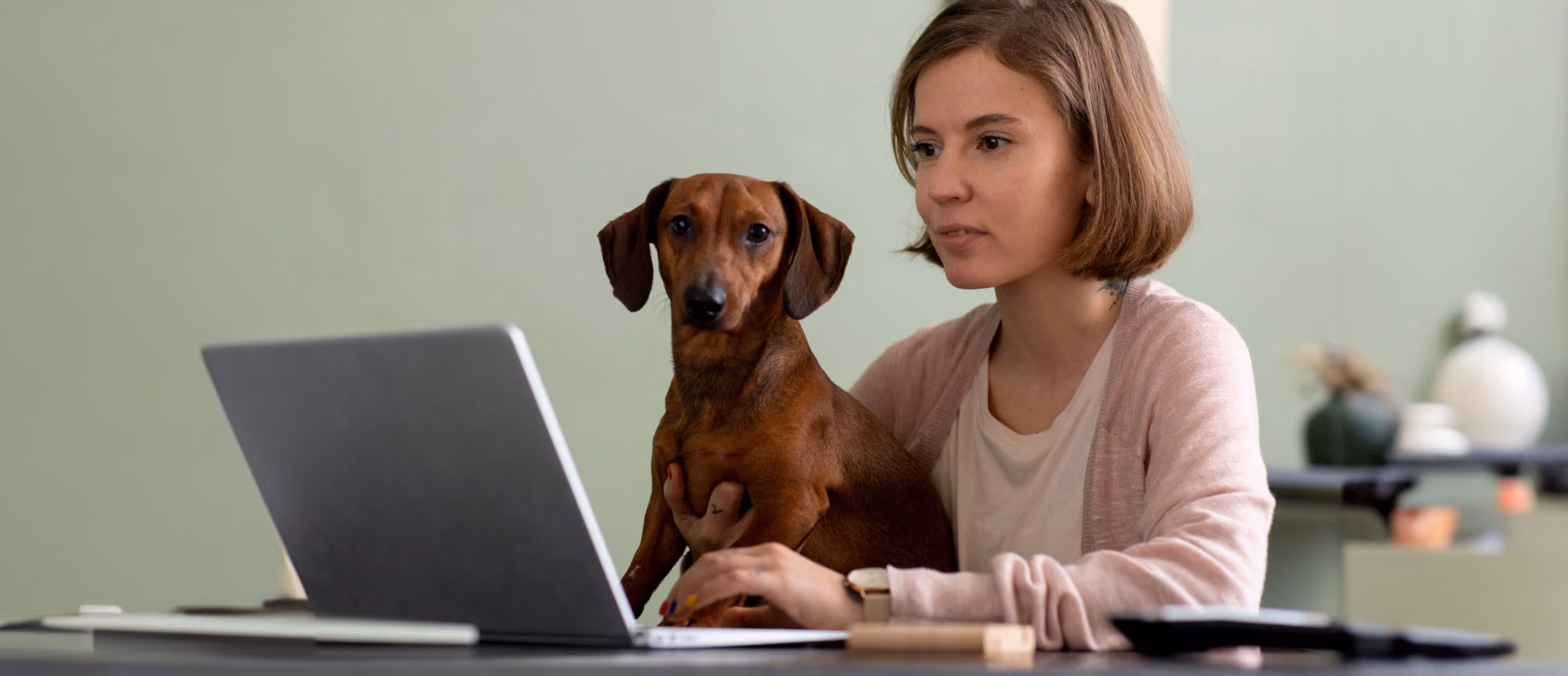 Woman in pink cardigan working on laptop with a brown dachshund sitting beside her at a desk with a soft green background