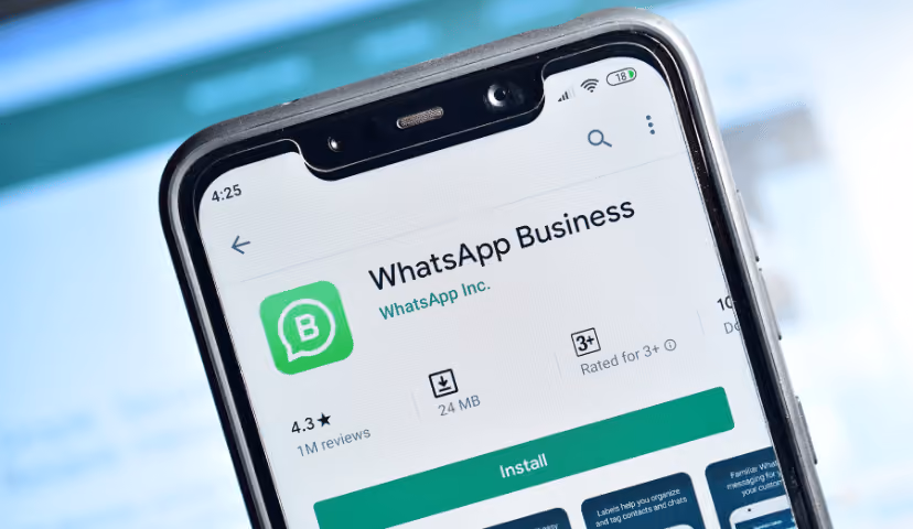 WhatsApp Business app page on smartphone screen showing app store listing with 4.3-star rating and 'Install' button