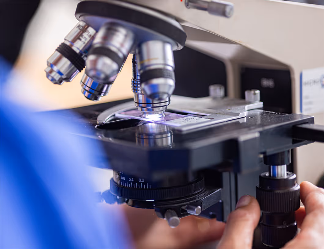 Hand bedient Zoom am Mikroskop, das einen Objektträger mit Probe beleuchtet.