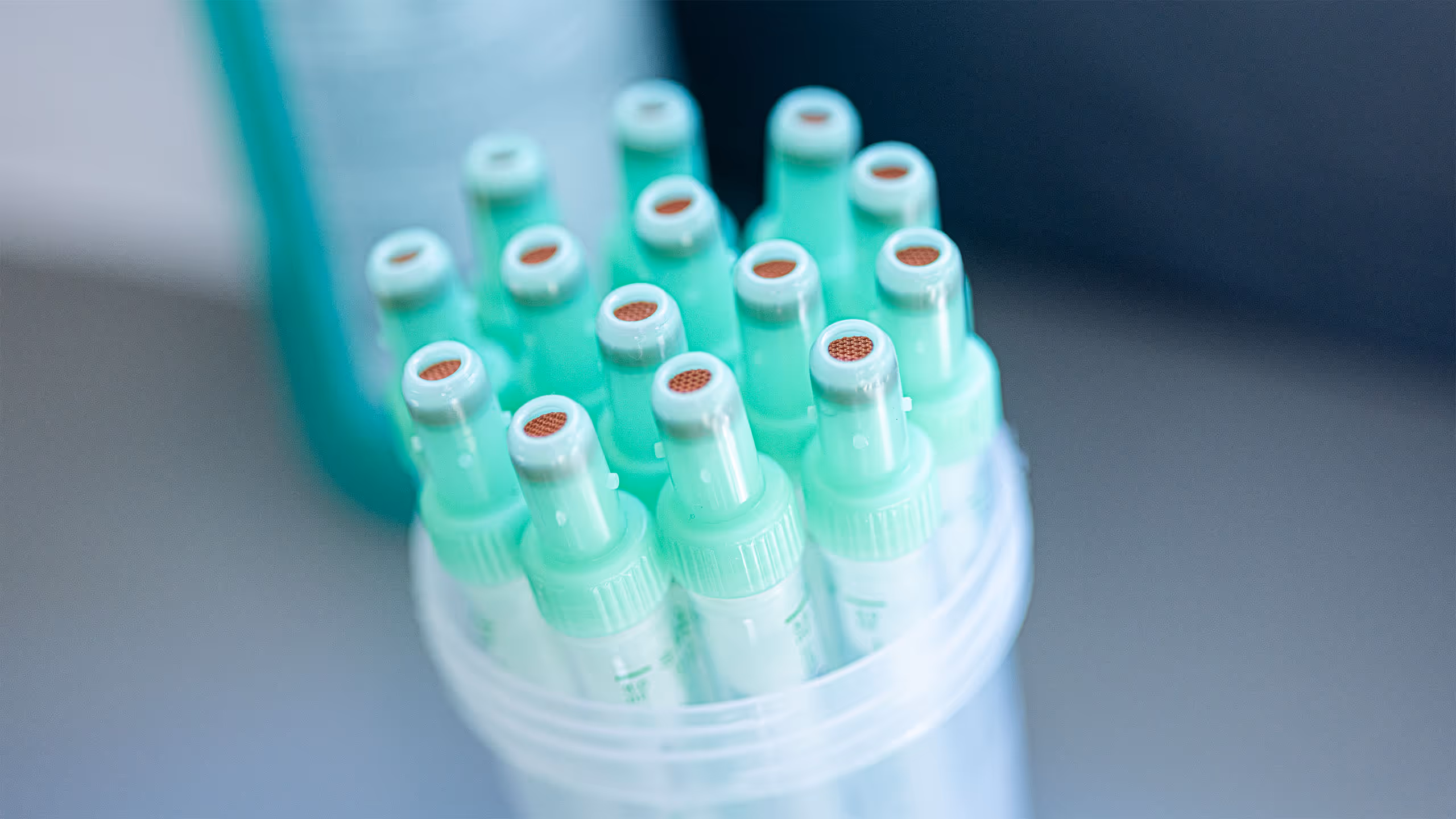 Nahaufnahme von mehreren grünen medizinischen Lanzetten in einem transparenten Behälter.