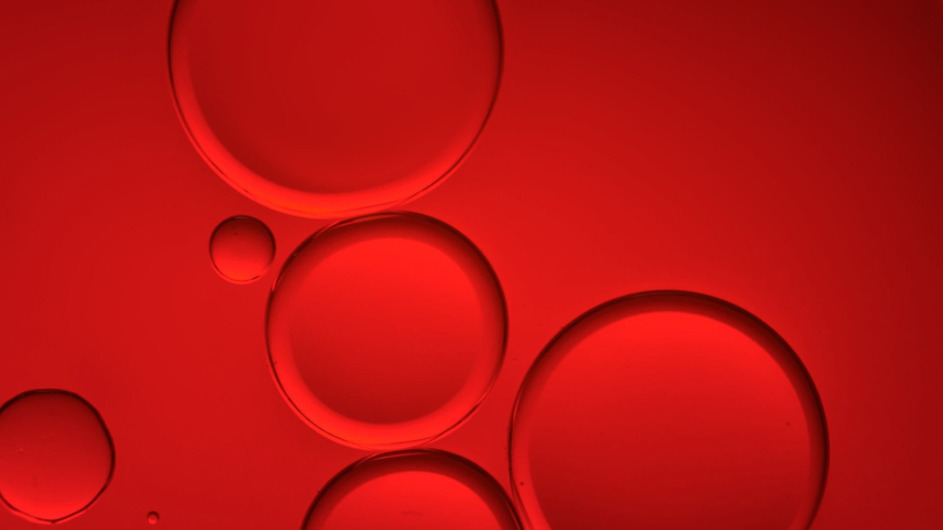 A still off lucie conrad's concept film "red", produced by mat. studio, showcasing red bubbles in a red liquid, crafted by sfx duo grogamins