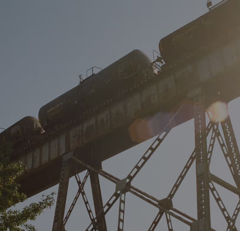 Train passing through on an elevated track.