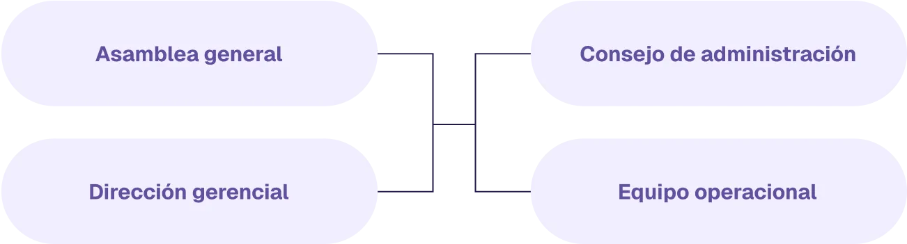 estructura organizacional