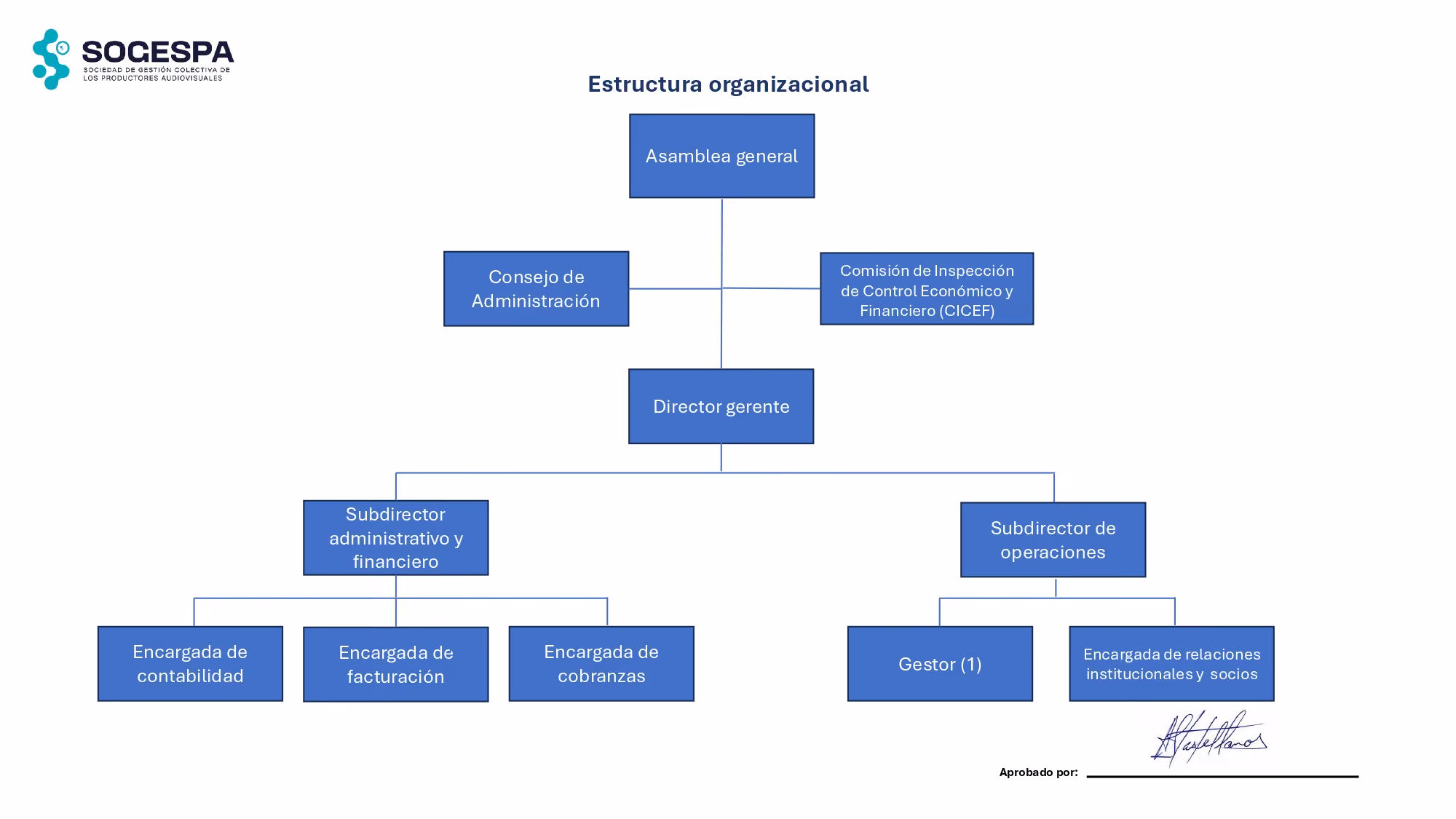 estructura organizacional