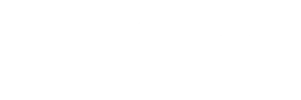 Blank white background with minimal visual content