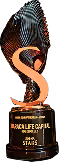 Magnifying glass icon