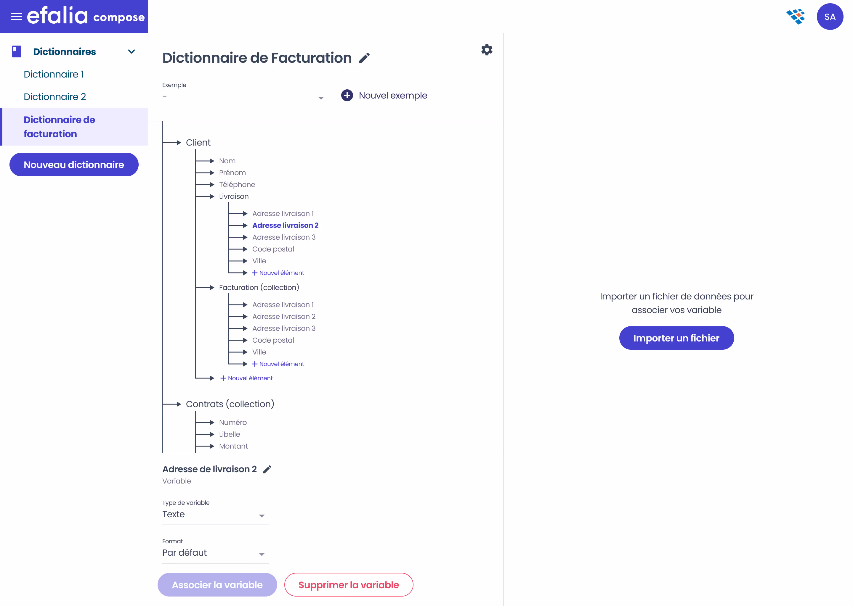 capture ecran Plan de travail fichier dictionnaire efalia compose