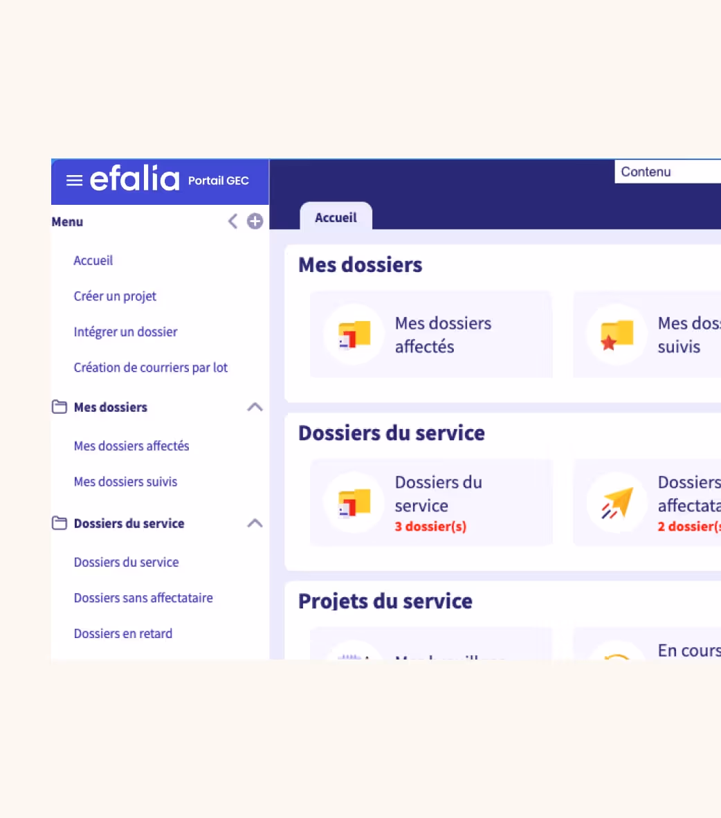 Capture Ecran Gec Public Logiciel Efalia Secteur