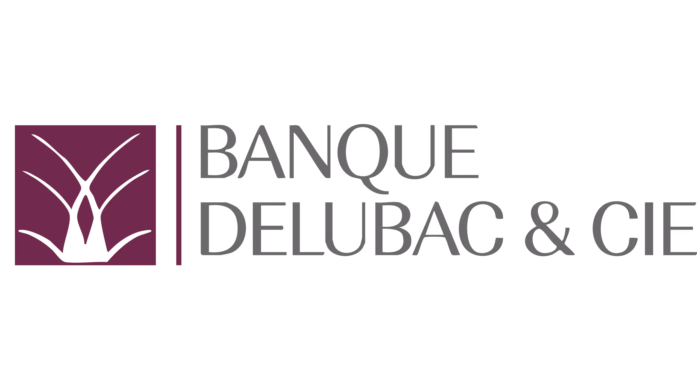 Logo Banque Delubac