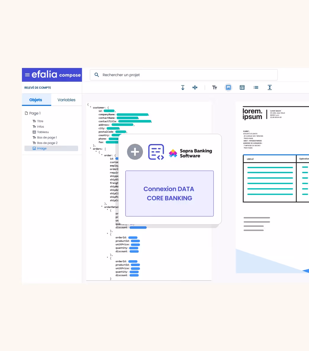 Capture Ecran Compose Releve De Compte Logiciel Efalia Secteur