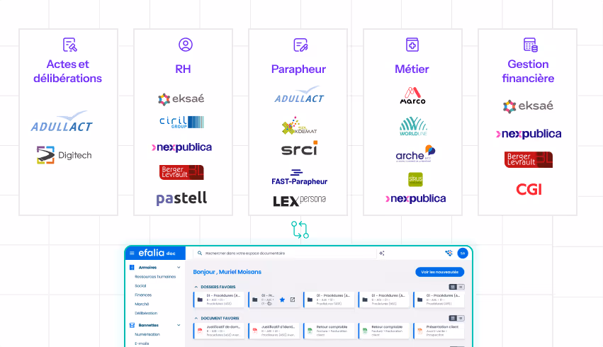 Capture Ecran Logiciel Efalia Doc Ged Transverse Connecteurs Secteur