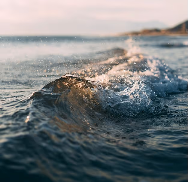 Visuel Vague Mer Page Rse Efalia