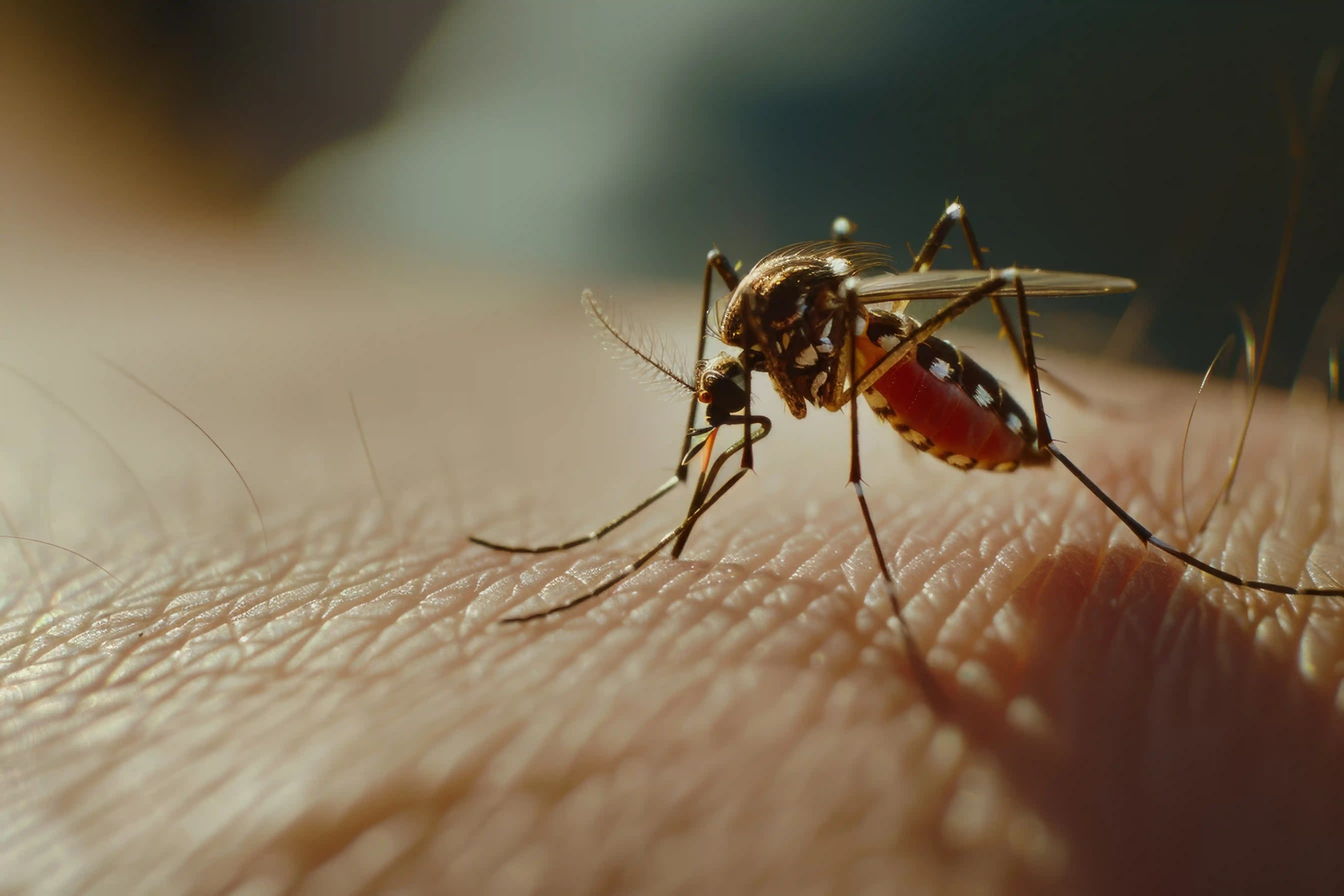 Indenização Zika Vírus: o que muda com a Lei 15.156/2025 para famílias e empresas