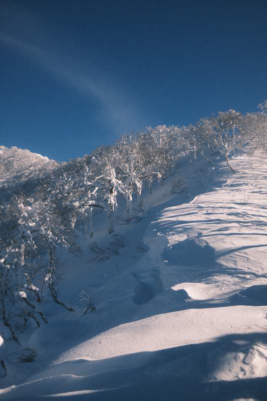 A snowy hill in the Hokkaido backcountry, in between Niseko and Rusutsu