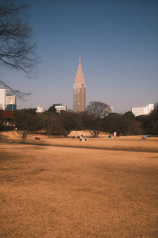 One of the numerous parks in Tokyo city center