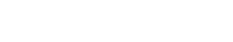 Michelle N. DeLong PLLC