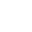 twitter icon
