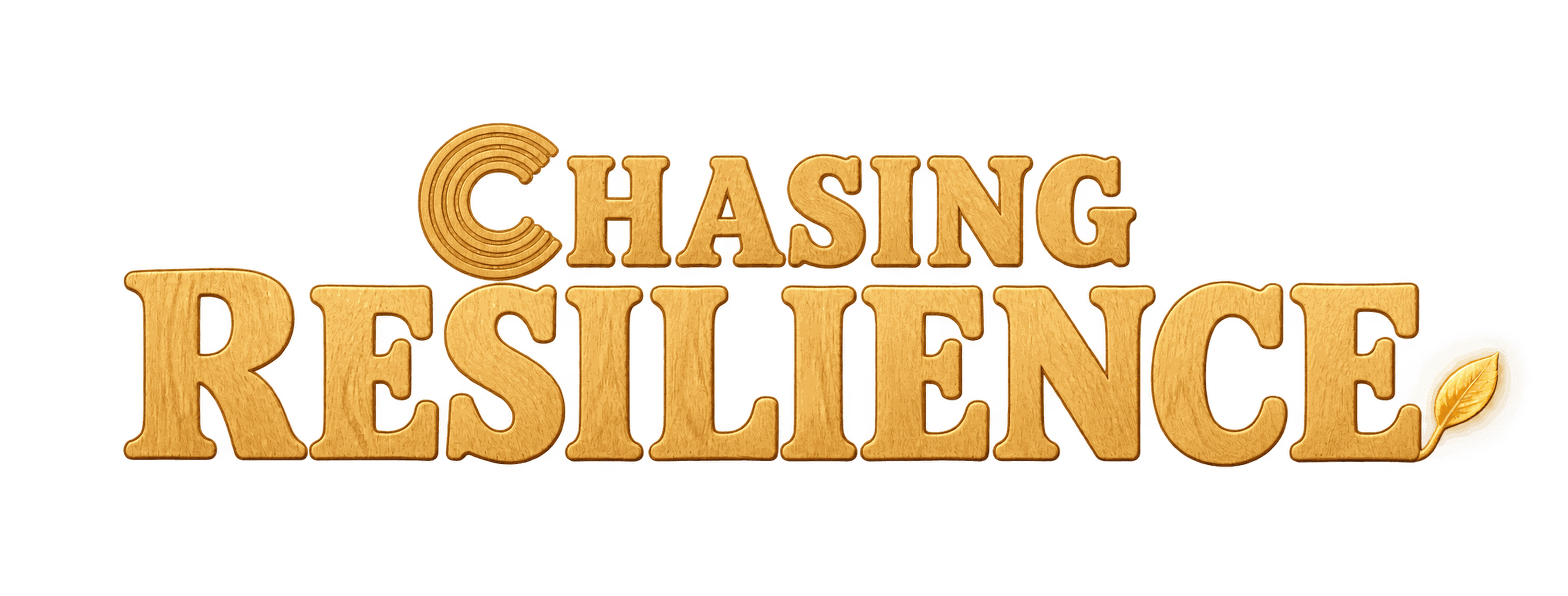 Chasing Resilience