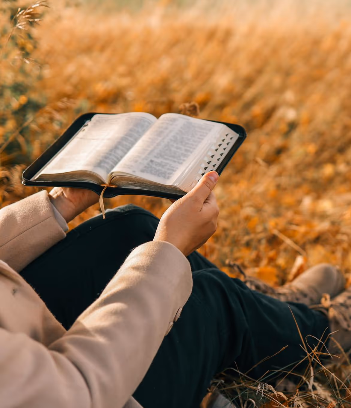 Open Bible held in a sunlit field, representing the Holy Scriptures as God's revealed Word and an invitation to personal encounter, reflection, and spiritual growth within the Orthodox tradition.