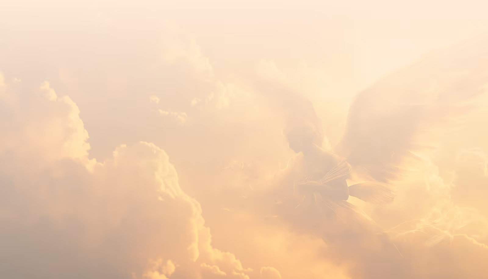 Angelic wings spread wide in serene clouds at sunset's divine glory and peace.